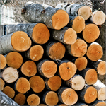 продам дрова твердых пород деревьев