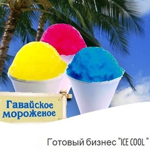Новый летний бизнес 2012 Гавайское мороженное Ice Cool