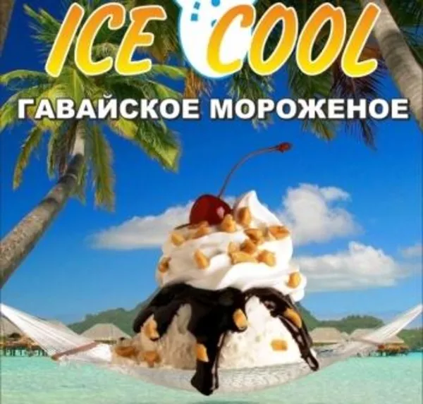 Новый летний бизнес 2012 Гавайское мороженное Ice Cool 2