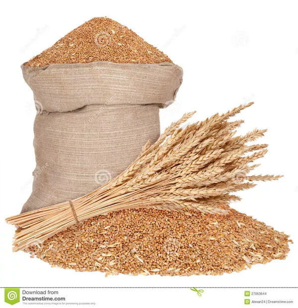 Закупаем пшеницу. 2, 3 класс